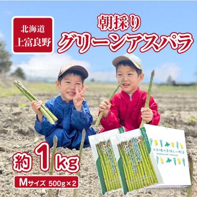 ふるさと納税 上富良野町 [2026年発送]アスパラ専門農家の朝採りグリーンアスパラ 約1kg(Mサイズ)
