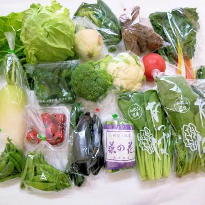 ふるさと納税 印南町 旬の新鮮野菜セット　大満足な13種以上【野菜詰め合わせ】 |  | 01