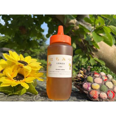 ふるさと納税 川棚町 国産はちみつ(百花蜜)500g