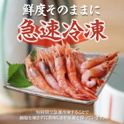 ふるさと納税 香美町 甘えび 天然 大サイズ 刺身用 殻むき処理済 15尾×2パック 10-12 |  | 01