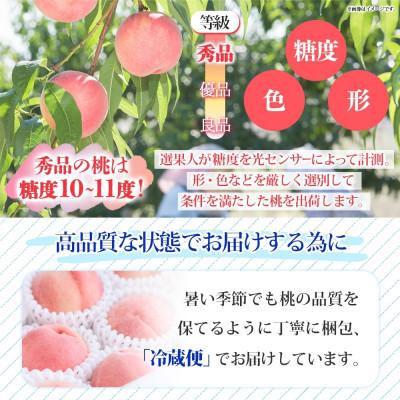 ふるさと納税 笛吹市 〈2026年先行予約〉みさかの桃 秀品 約1.5kg 糖度10%以上 山梨県 笛吹市の画像
