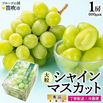 ふるさと納税 笛吹市 [2026年先行予約]シャインマスカット 1房 600g前後 秀品 化粧箱付 山梨県 笛吹市