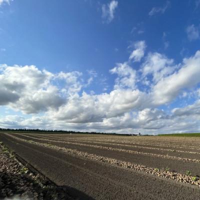 ふるさと納税 帯広市 北海道十勝帯広産 じゃがいも 2種10kg(メークイン とうや ) |  | 03