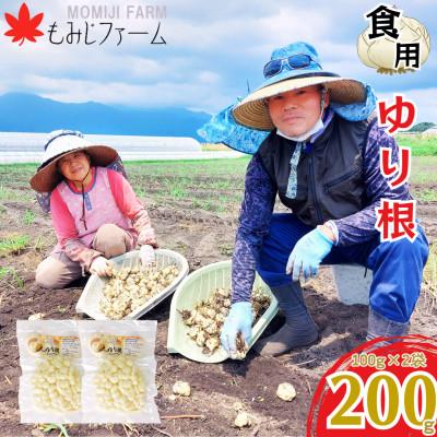 ふるさと納税 鹿屋市 [栽培期間中化学肥料不使用]ほくほくしてほんのり甘いゆり根200g(100g×2袋) 2351