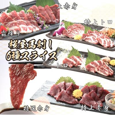 ふるさと納税 湯前町 馬刺しスライス6種 特上トロ・トロ・霜降り・特選赤身・特上赤身・上赤身(各100g)(湯前町)