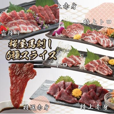 ふるさと納税 長洲町 馬刺しスライス6種 特上トロ・トロ・霜降り・特選赤身・特上赤身・上赤身(各100g)(長洲町)