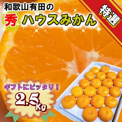 ふるさと納税 美浜町 特撰品!和歌山有田の「ハウスみかん」[赤秀]約2.5kg 化粧箱入り ギフトにも (5月発送分)