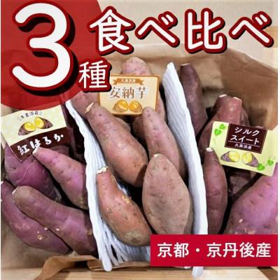 ふるさと納税 京丹後市 直売所直送「京都京丹後産 訳ありさつまいも3種食べ比べセット」計3kg(2025年10月下旬〜発送)