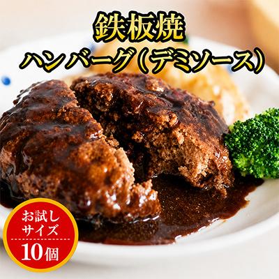 ふるさと納税 飯塚市 鉄板焼ハンバーグ(デミソース)10個セット | 