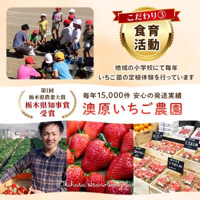 ふるさと納税 矢板市 【先行受付】【訳あり】栃木県産いちご 贅沢 4品種食べ比べ 計1,120g(280g×4P)農園直送 |  | 03