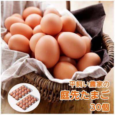 ふるさと納税 井原市 平飼い農家の庭先たまご 30個