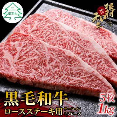 ふるさと納税 根羽村 根羽こだわり和牛 ロースステーキ用 (サーロイン・リブロース)5枚(計1kg)