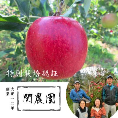 ふるさと納税 松川町 特別栽培認証 りんご つがる 約3kg 秀品 [8月下旬〜9月中旬頃発送予定]