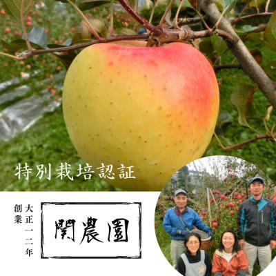 ふるさと納税 松川町 特別栽培認証 りんご ぐんま名月 約5kg 秀品 [11月上旬〜中旬頃発送予定]