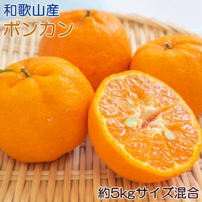 ふるさと納税 高野町 和歌山産ポンカン約5kg(サイズ混合・秀優品)(高野町)