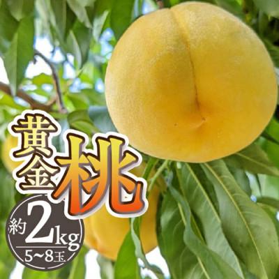 ふるさと納税 甲州市 2026年先行予約 希少数量限定!山梨県甲州市産 黄金桃 約2Kg (5〜8玉)