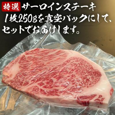 ふるさと納税 つくばみらい市 【常陸牛】A5等級 サーロインステーキ 計500g(250g×2枚) 茨城県共通返礼品 |  | 01