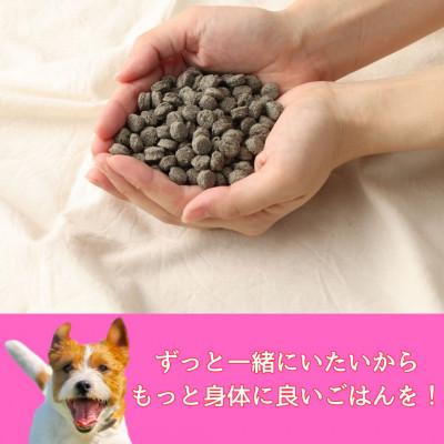 ふるさと納税 高鍋町 ファイン華 500g 【ナチュラルドッグフード】の画像