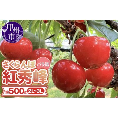 ふるさと納税 甲州市 大粒さくらんぼ童夢の「紅秀峰」バラ詰め(2L〜3Lサイズ/約500g)[2026年発送]