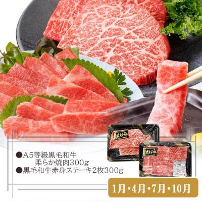 ふるさと納税 枕崎市 定期便3回配送　お肉とお魚よりどり定期便 LL-6016 |  | 01