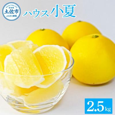 ふるさと納税 土佐市 [高知県土佐市]小夏2.5kg
