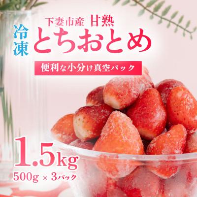 ふるさと納税 下妻市 [先行予約] 訳あり下妻産 Ben`s Berry 完熟冷凍いちご 1.5kg(500g×3パック)