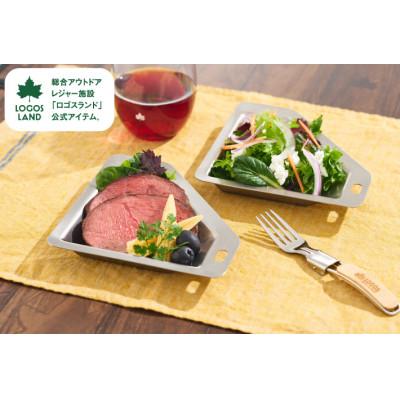 ふるさと納税 城陽市 ポリゴンステン プレート　キャンプやアBBQなどアウトドアで活躍します　81280051_1