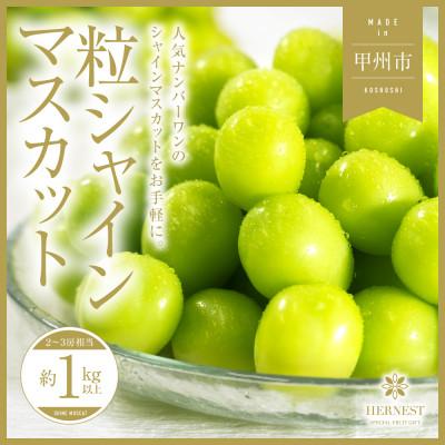 ふるさと納税 甲州市 [2026年度先行受付]山梨県甲州市産シャインマスカット 粒 1kg