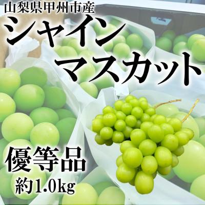 ふるさと納税 甲州市 [2026年度先行受付]山梨県甲州市産シャインマスカット 優等品 2〜3房 計約1kg