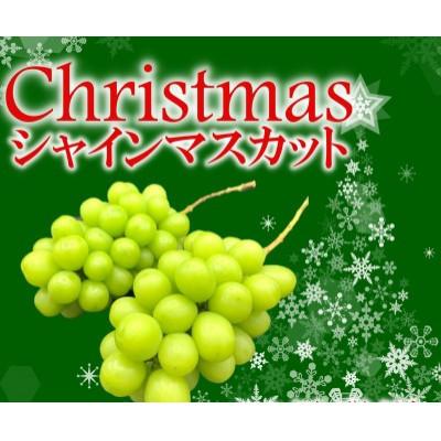 ふるさと納税 甲州市 2025年先行予約冬季限定!!山梨県甲州市産 クリスマスシャインマスカット 2〜3房 計約1.0kg