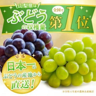 ふるさと納税 甲州市 2026年先行予約 厳選!山梨県甲州市産 巨峰 約1Kg (2〜3房) |  | 02