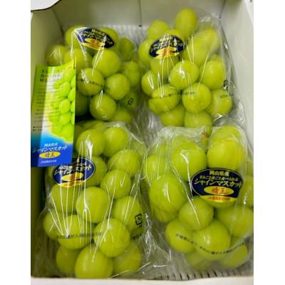 エルセラーン化粧品 ハラマキ 黒 テラヘルスシリーズ