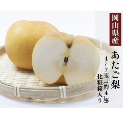 ふるさと納税 玉野市 岡山県産 あたご梨 4〜7玉(約4kg) 化粧箱入り