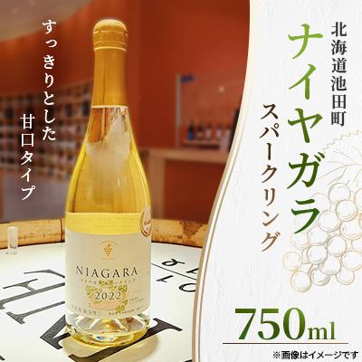 ふるさと納税 池田町 十勝ワイン ナイヤガラスパークリング 1本