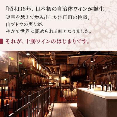 ふるさと納税 池田町 十勝ワイン ナイヤガラスパークリング 1本 |  | 01