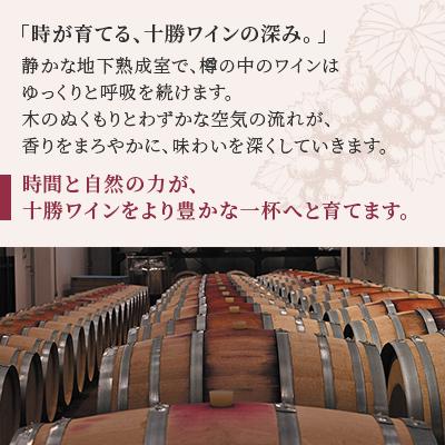 ふるさと納税 池田町 十勝ワイン ナイヤガラスパークリング 1本 |  | 02