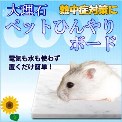 ふるさと納税 大野町 ハムスターひんやり大理石マット 14×10センチ イタリア産 ビアンコカラーラ