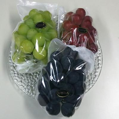 ふるさと納税 真庭市 [岡山県真庭市]ご家庭用 大粒ぶどう3種セット 訳あり