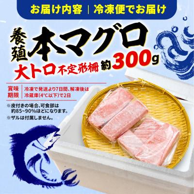 ふるさと納税 藤枝市 【訳あり】本鮪　大トロ　300g |  | 02