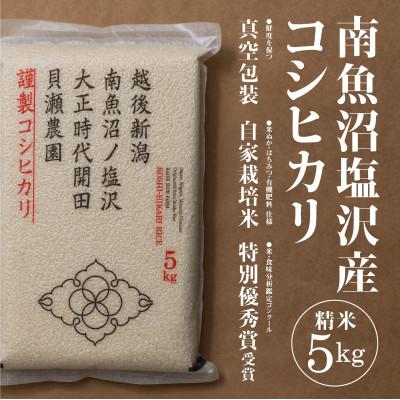 ふるさと納税 南魚沼市 令和8年産予約「貝瀬農園米」5割減農薬米 南魚沼塩沢産コシヒカリ 精米5kg