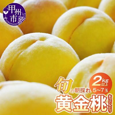 ふるさと納税 甲州市 [2026年 先行受付]山梨県産 旬の朝採れ黄金桃 2.0kg以上(5〜7玉)