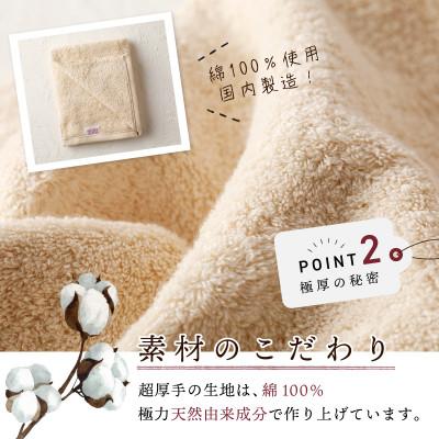 ふるさと納税 泉佐野市 極厚ハンドタオル 10枚セット 生成色 099H2377の画像