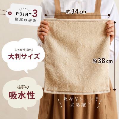 ふるさと納税 泉佐野市 極厚ハンドタオル 10枚セット 生成色 099H2377の画像