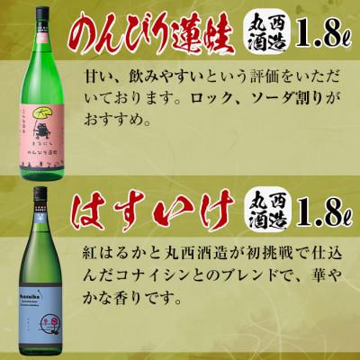 ふるさと納税 志布志市 志布志焼酎大きな”志”満足セット!計10.8L(1800ml×6本) e7-015_3