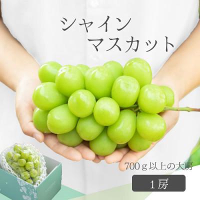 ふるさと納税 甲州市 [2026年発送]山梨産シャインマスカット1房 大房700g以上 産地直送 先行受付