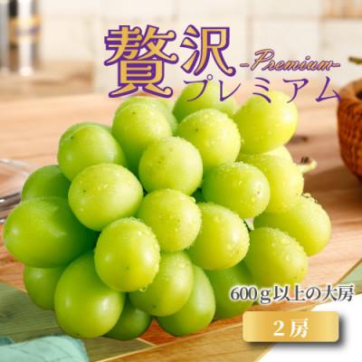 ふるさと納税 甲州市 [2026年発送]山梨産 プレミアムシャインマスカット2房 約1.2kg 産地直送