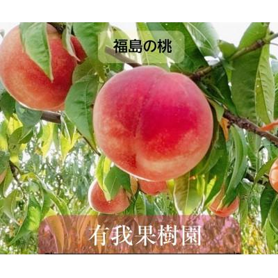 ふるさと納税 須賀川市 桃 [有我果樹園] 品種色々 ミックス 3kg 8〜12玉