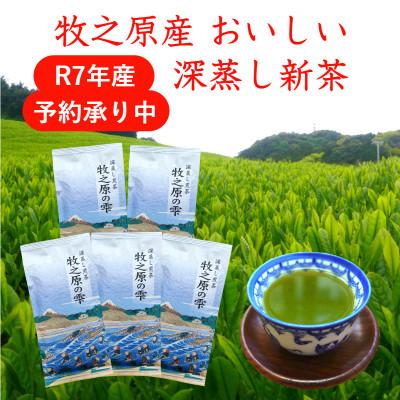 ふるさと納税 牧之原市 牧之原産 おいしい新茶「牧之原の雫」100g×5袋セット
