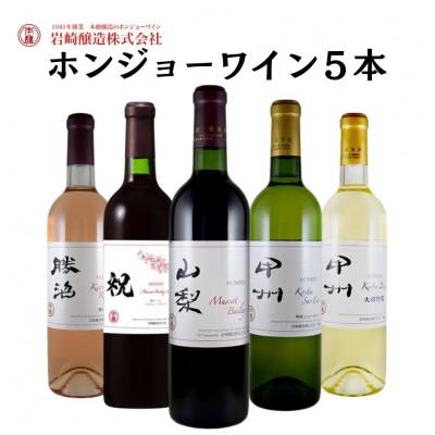 ふるさと納税 甲州市 ホンジョーワインおススメ5本セット