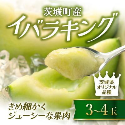 ふるさと納税 茨城町 茨城町産 メロン イバラキング (3〜4玉)